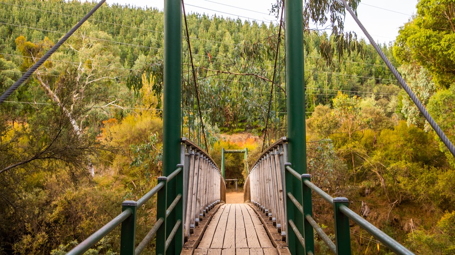 Canyon Walk featuring a bridge and tranquil scenes