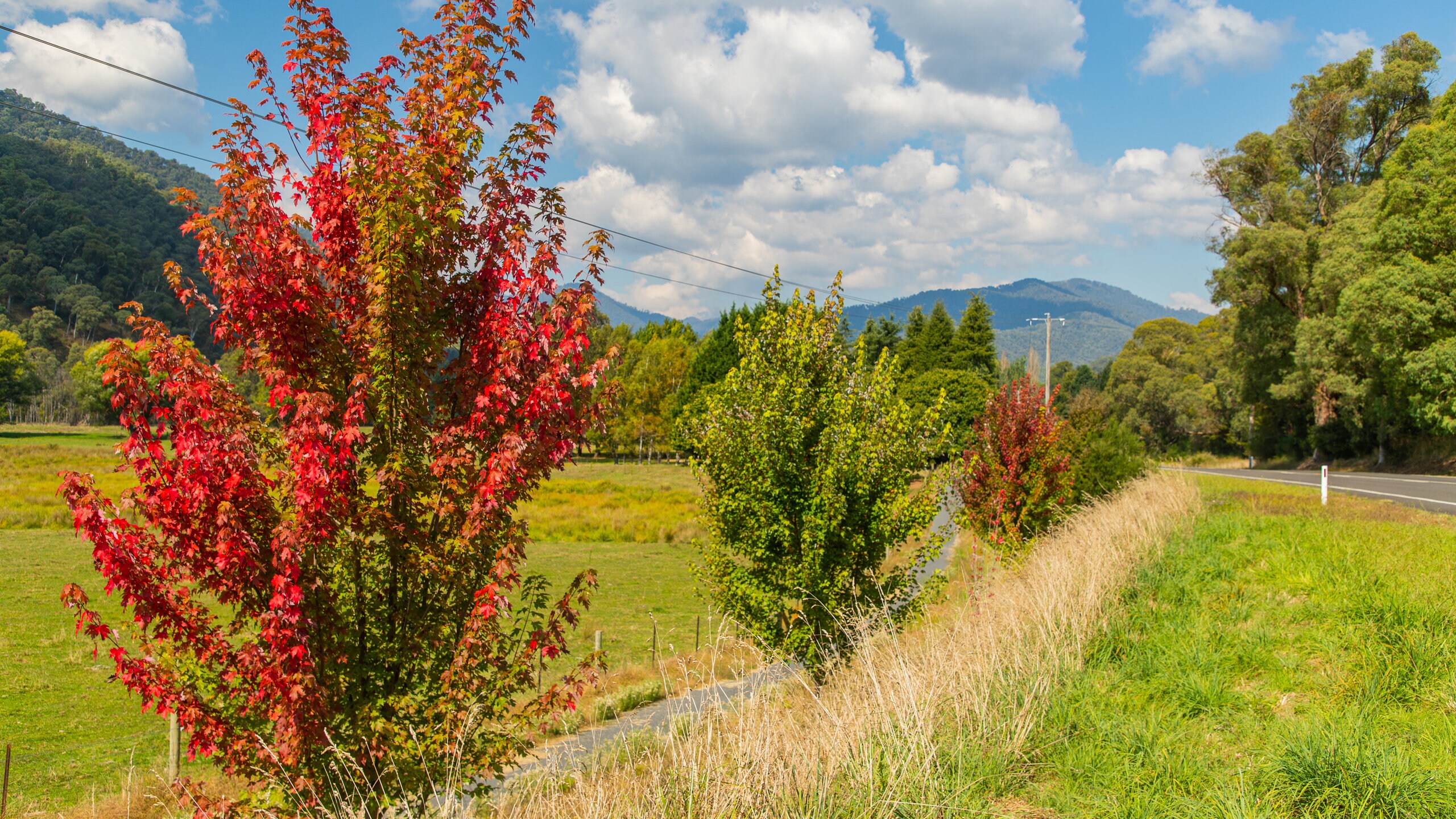 Harrietville, VIC holiday holiday houses & more Stayz