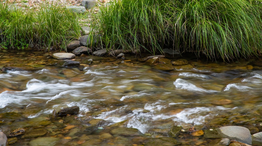 Harrietville