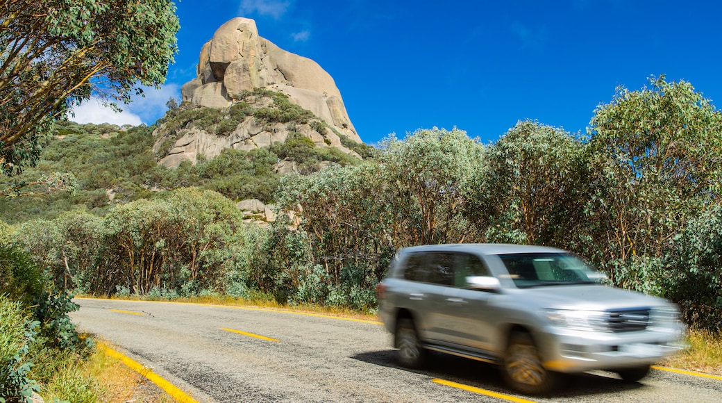 Mount Buffalo National Park