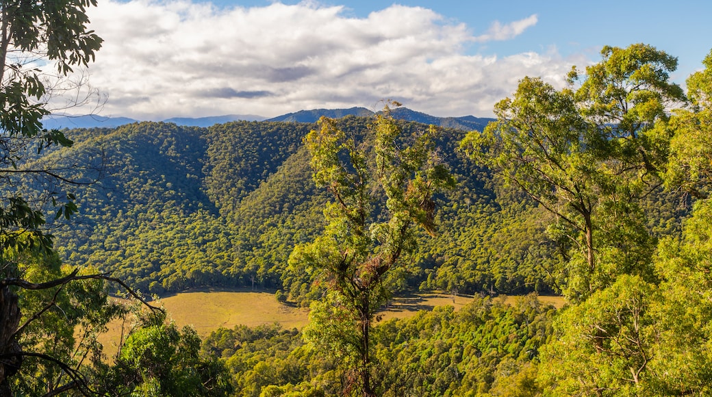 Mount Buffalo National Park