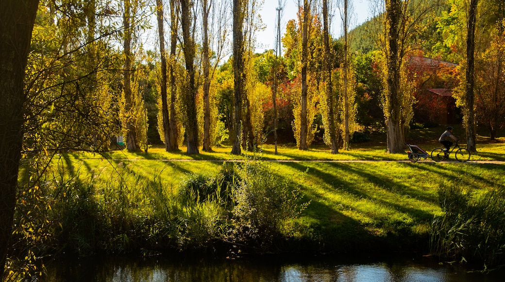 Canyon Walk showing a park