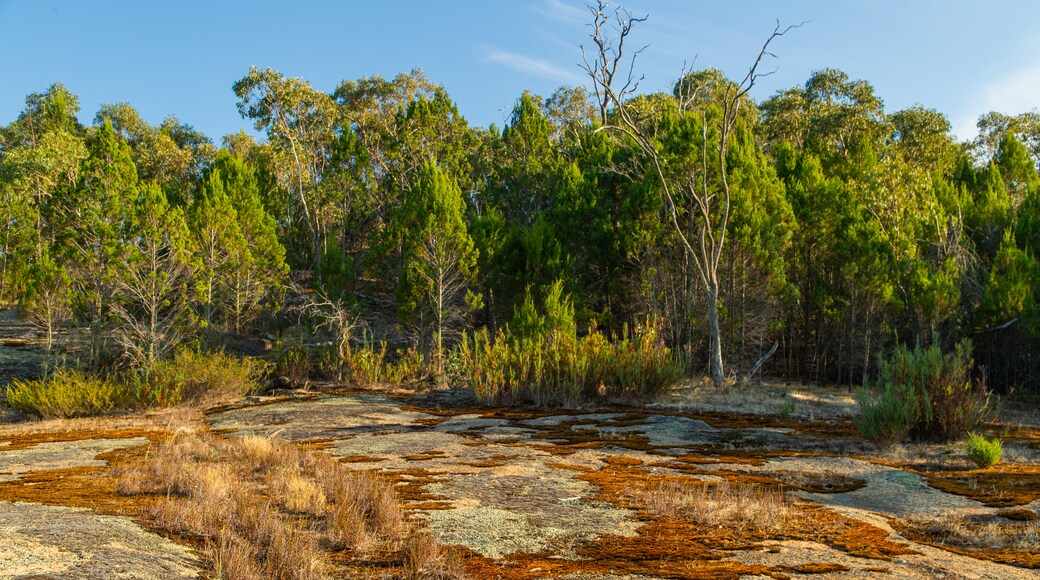 Chiltern-Mt Pilot National Park