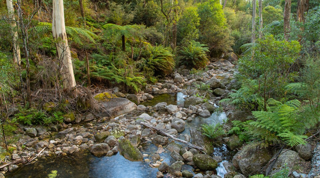 Mount Buffalo National Park