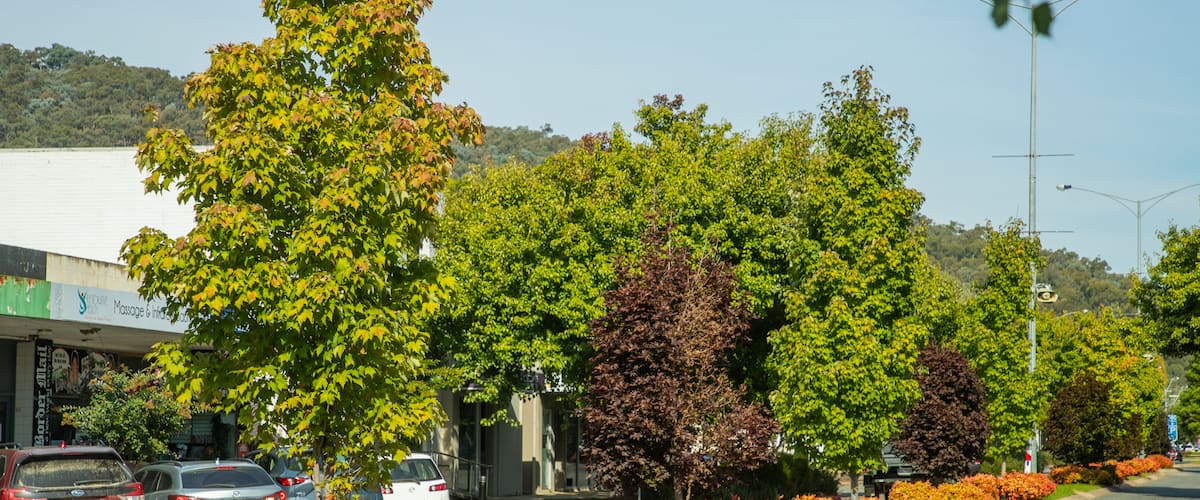 Myrtleford featuring a small town or village