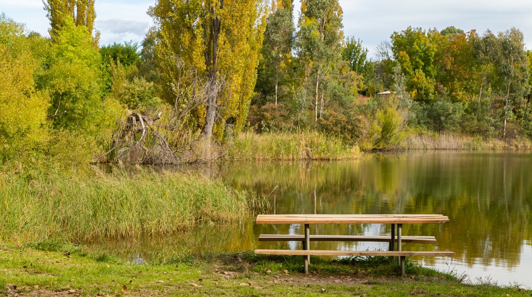 Allans Flat Bushland Reserve