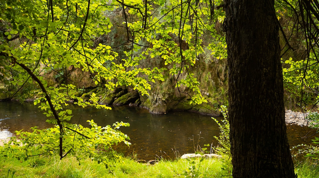 Canyon Walk featuring a pond