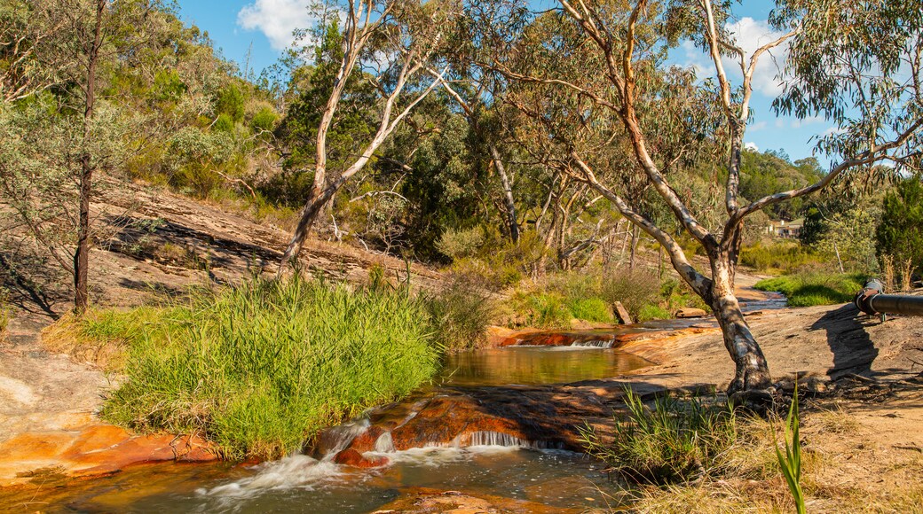 Beechworth Historic Park showing tranquil scenes and a river or creek