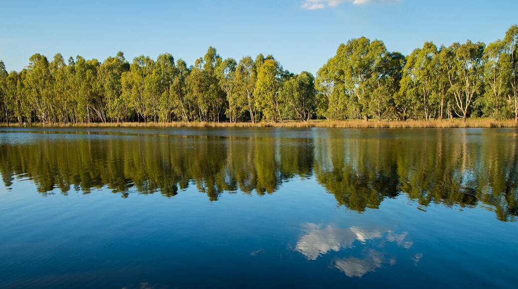 Moodemere Nature Conservation Reserve