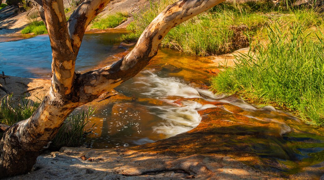 Beechworth Historic Park featuring a river or creek