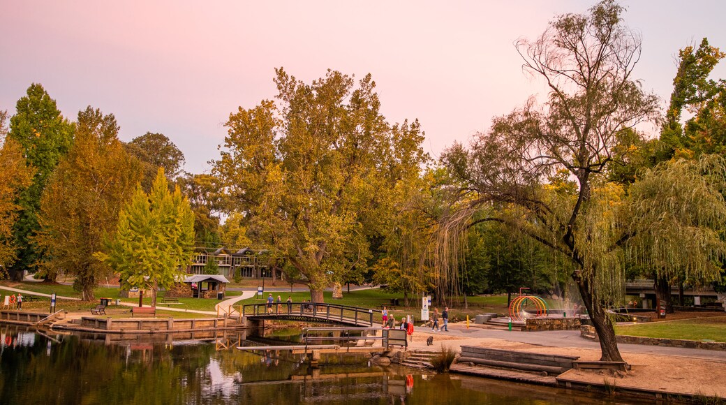 Centenary Park Streamside Reserve