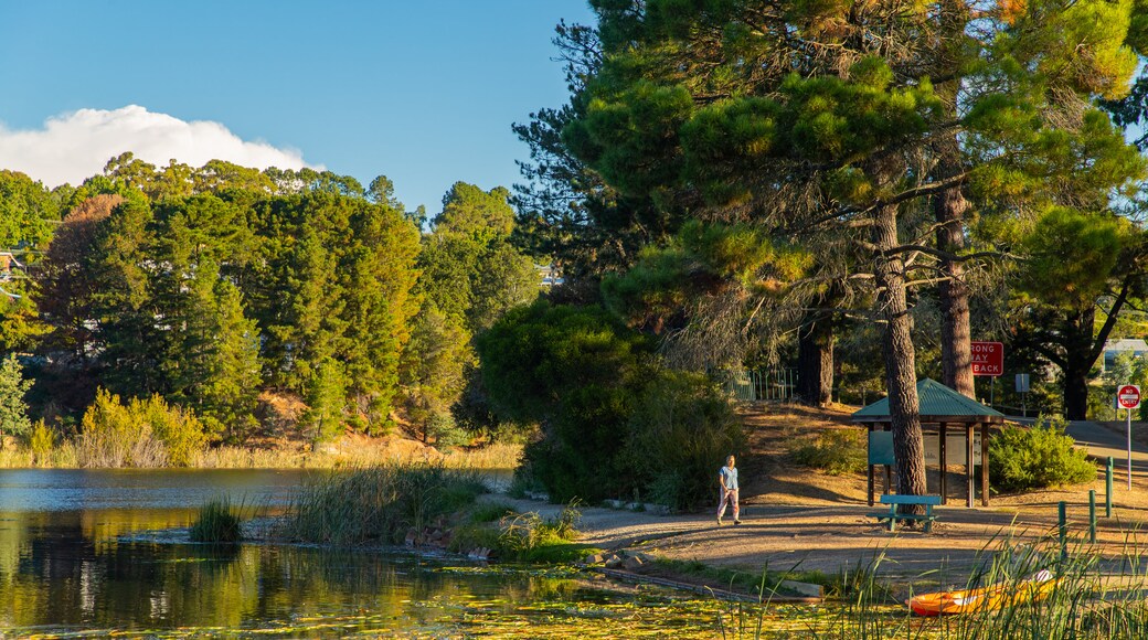 Lake Sambell