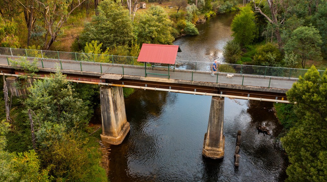 Ovens River Rail Trail Bridge