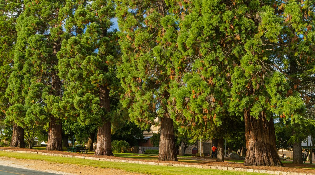 Jardins de la mairie