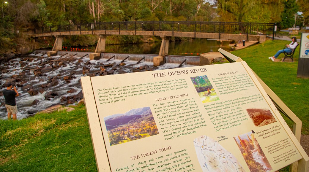 Centenary Park Streamside Reserve