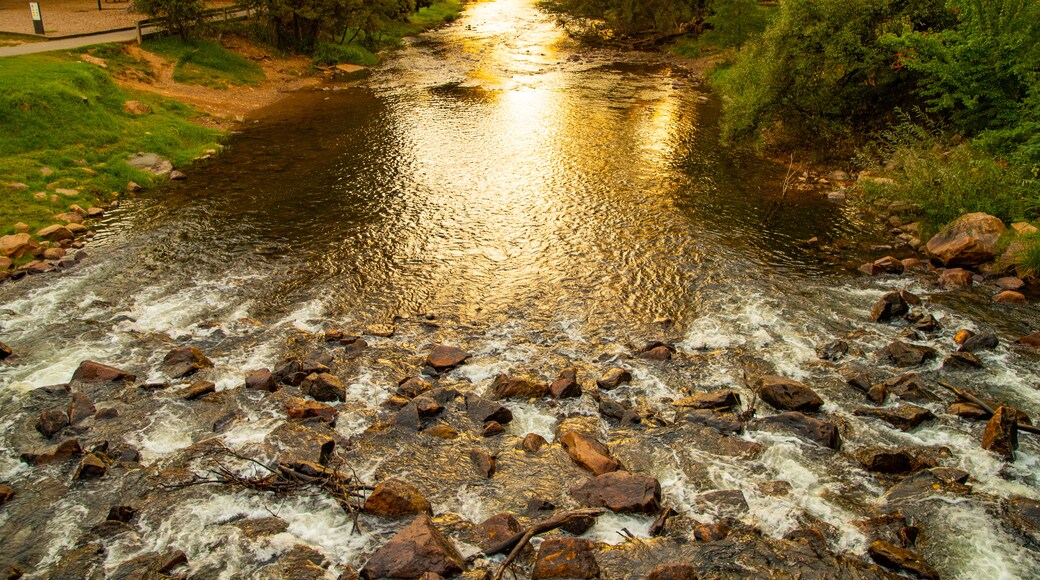 Centenary Park Streamside Reserve