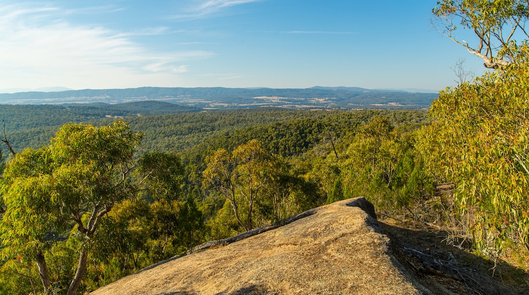 Chiltern-Mt Pilot National Park