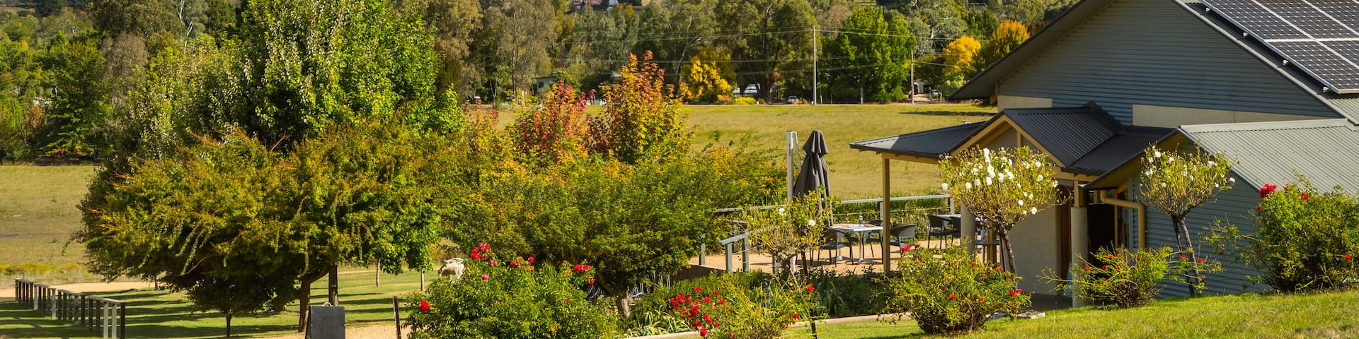 Ringer Reef Winery showing farmland, tranquil scenes and landscape views