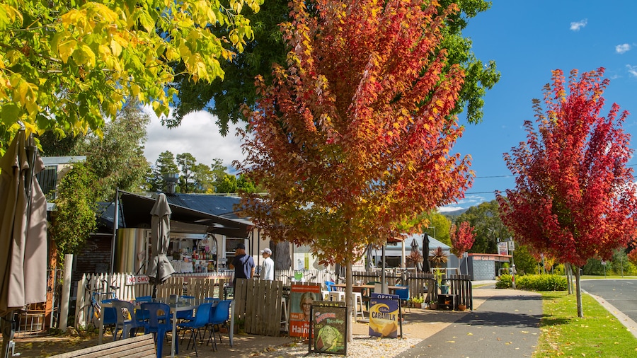 Porepunkah featuring a small town or village