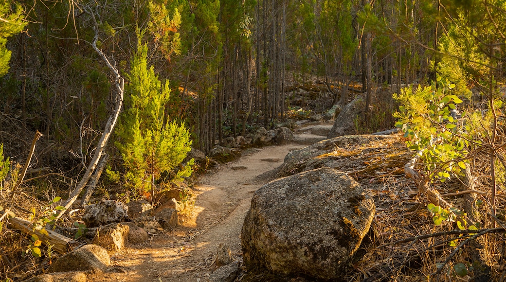 Chiltern-Mt Pilot National Park