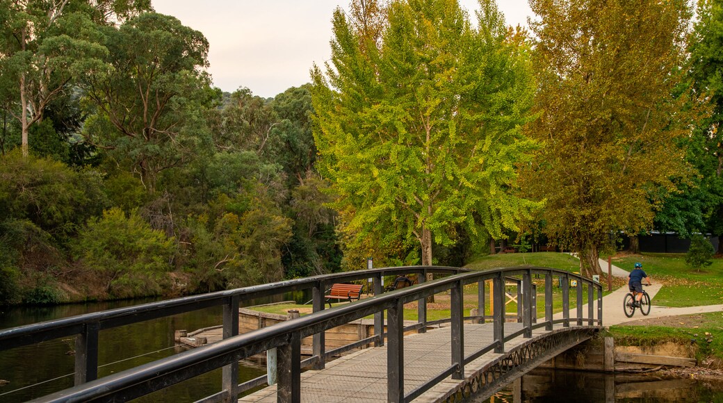 Centenary Park Streamside Reserve