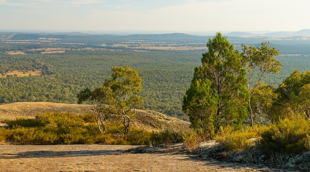 Chiltern-Mt Pilot National Park