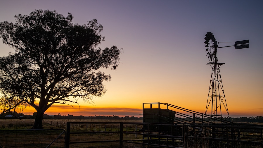 Wangaratta featuring a sunset and farmland