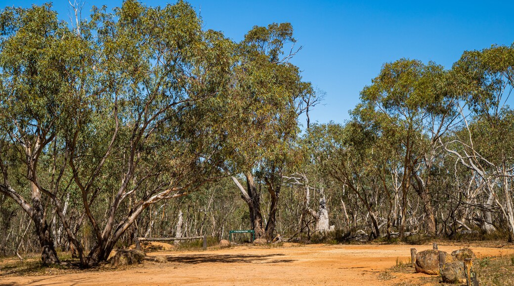 Warby Ovens National Park