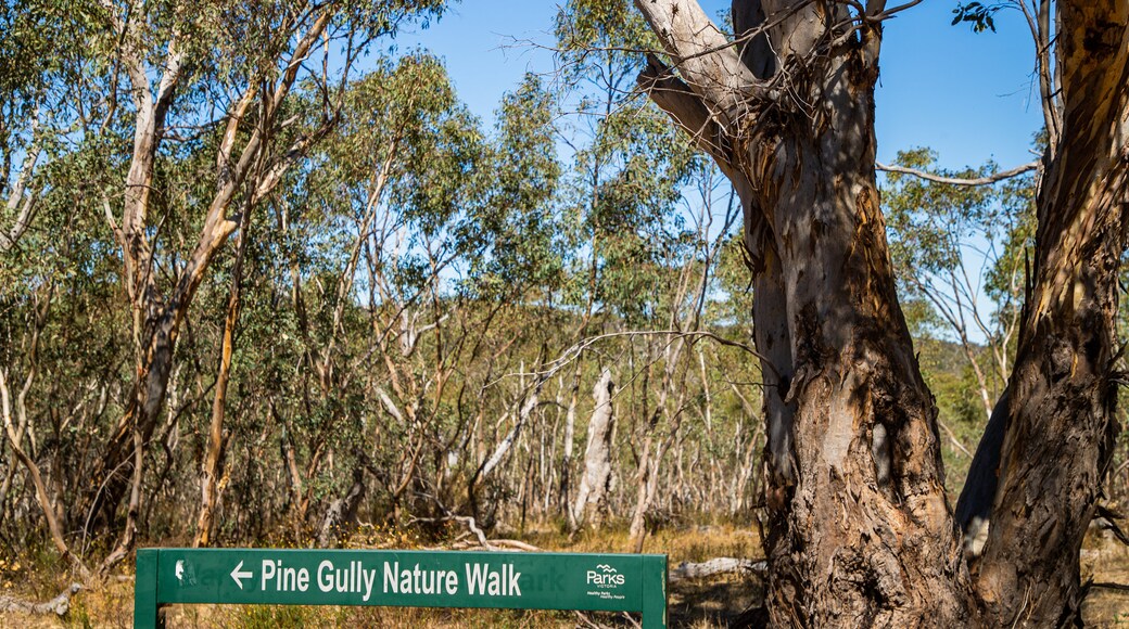 Warby Ovens National Park