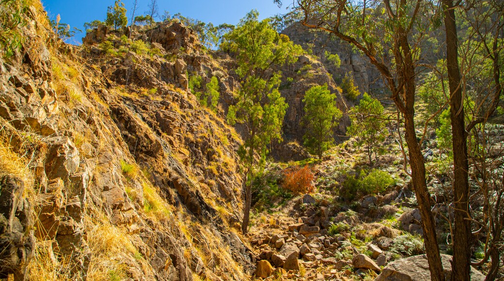 Warby Ovens National Park