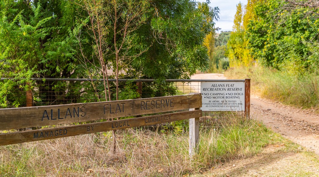 Allans Flat Bushland Reserve