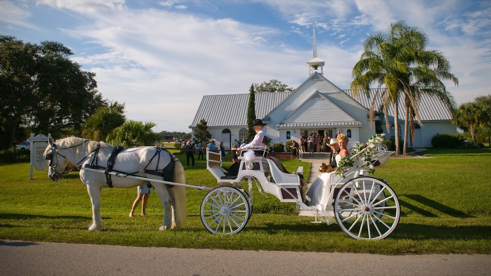 River Ranch qui includes animaux terrestres et équitation