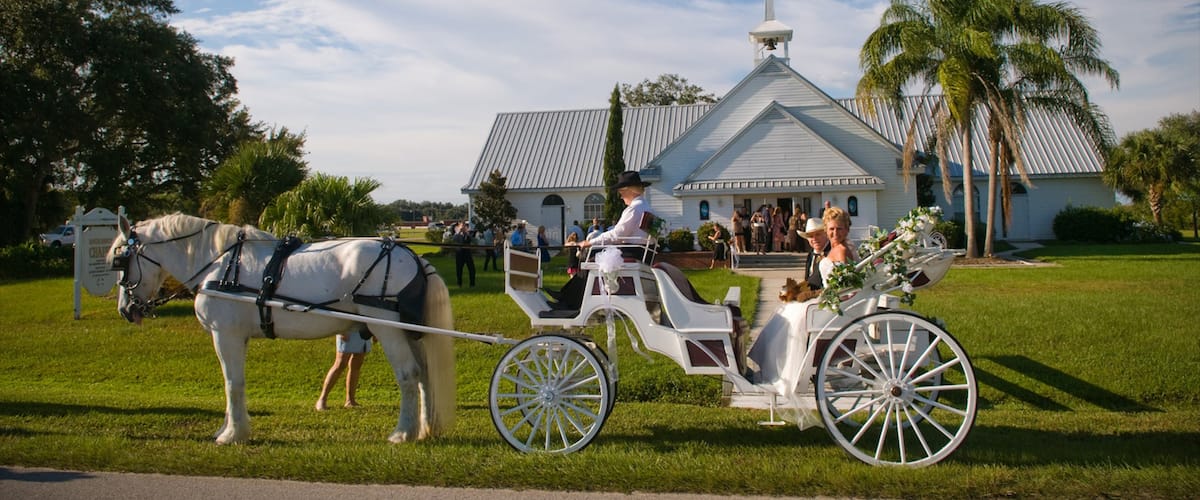 River Ranch showing land animals and horseriding