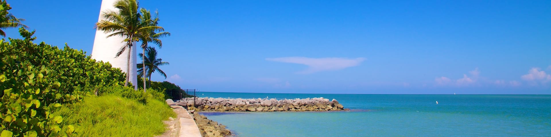Bill Baggs Cape Florida State Park showing general coastal views, rocky coastline and a lighthouse