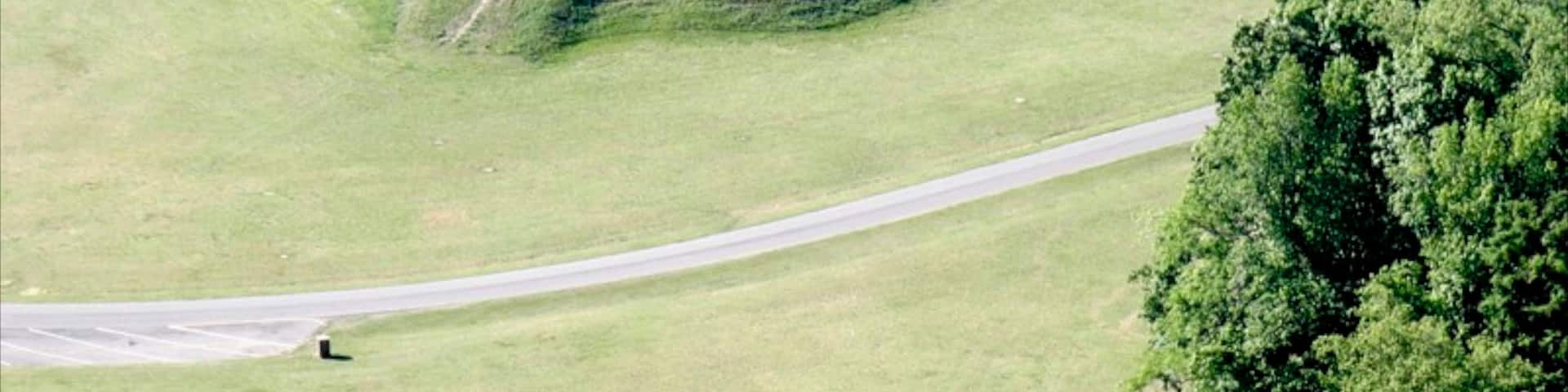 Tuscaloosa mostrando un jardín y una casa