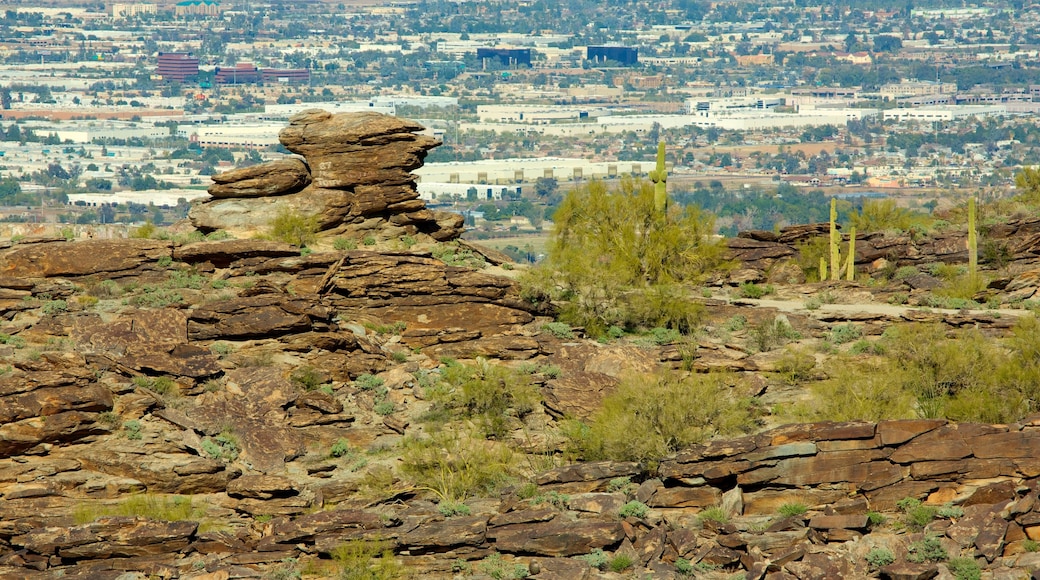 Phoenix which includes a gorge or canyon, landscape views and a city