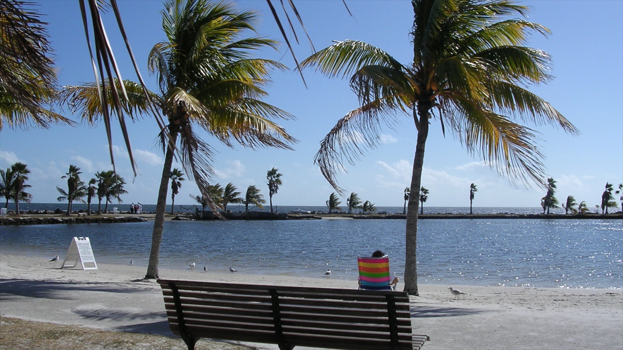 Miami which includes tropical scenes and a beach