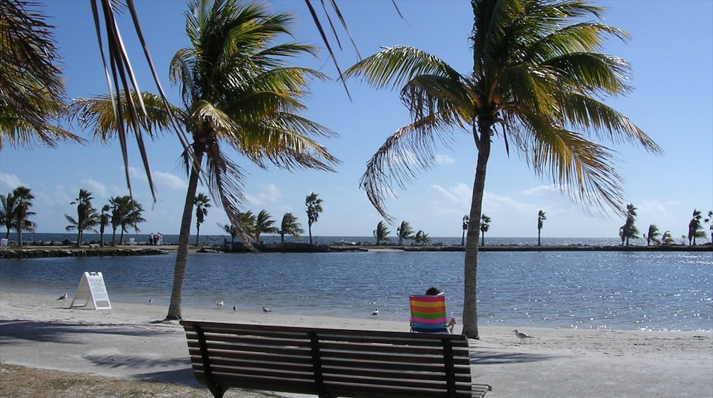 Foto proporcionada por Greater Miami Convention and Visitors Bureau