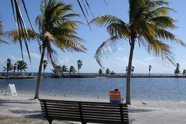 Miami featuring a beach and tropical scenes