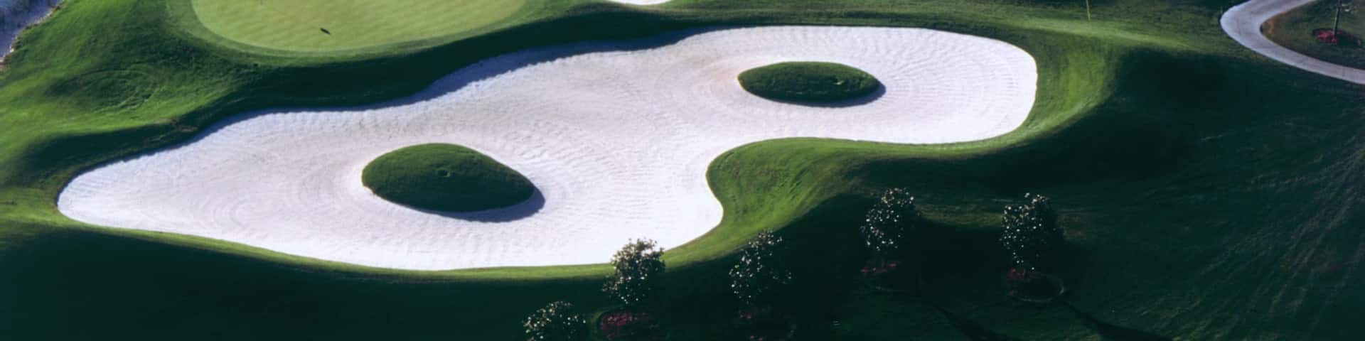 Falcon\'s Fire Golf Club featuring golf and a lake or waterhole