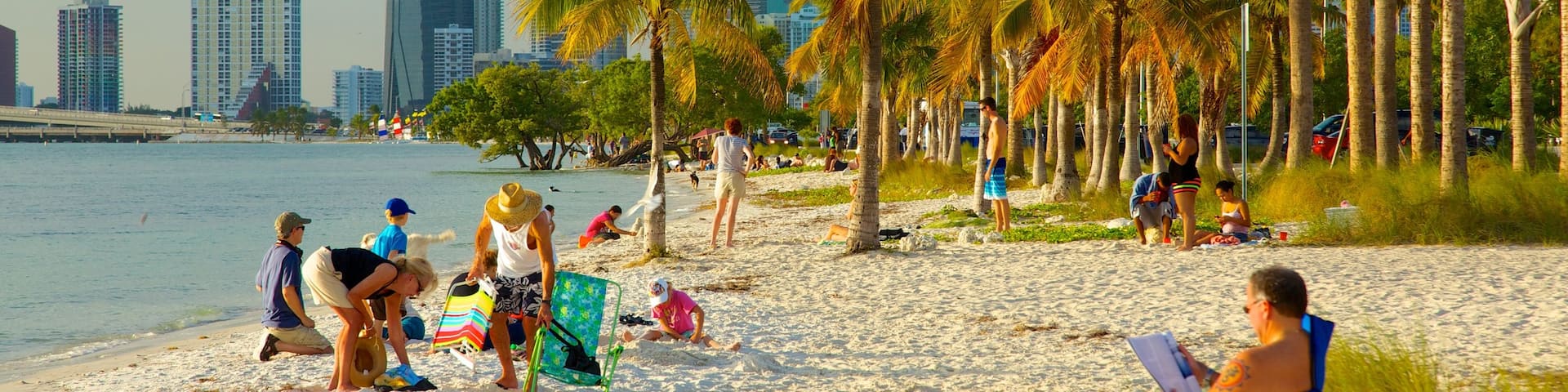 Miami which includes tropical scenes, a sandy beach and a city