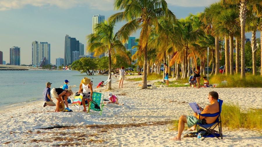Miami showing a beach, a city and tropical scenes