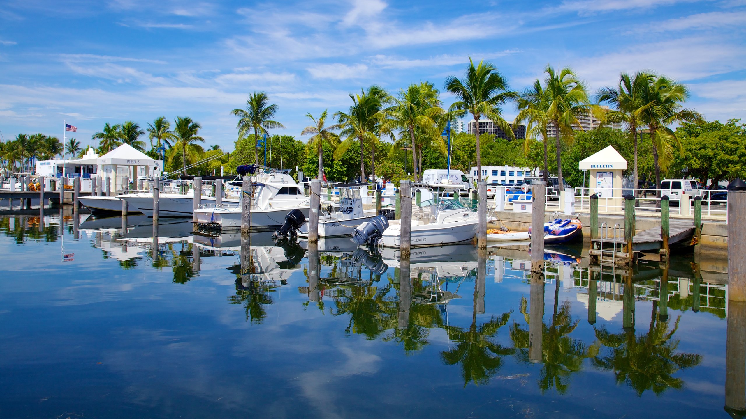 Coconut Grove, Miami Vacation Rentals house rentals & more Vrbo