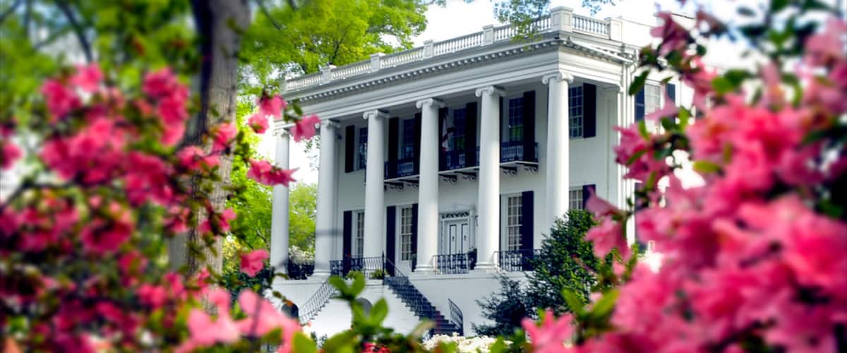 ํฐ์ค์ปฌ๋ฃจ์ฌ ์ด ํฌํจ ์ฑ, ๋ฌธํ์ ์ฐ ๊ฑด์ถ ๊ณผ ๊ฝ