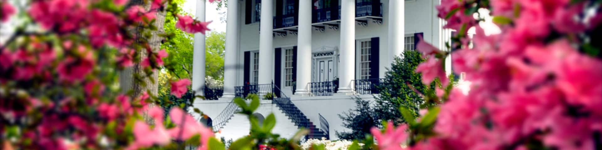 Tuscaloosa which includes heritage architecture, chateau or palace and flowers