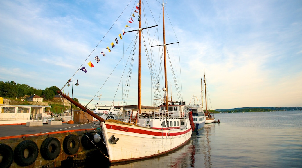 Oslo som visar kustutsikter och en marina