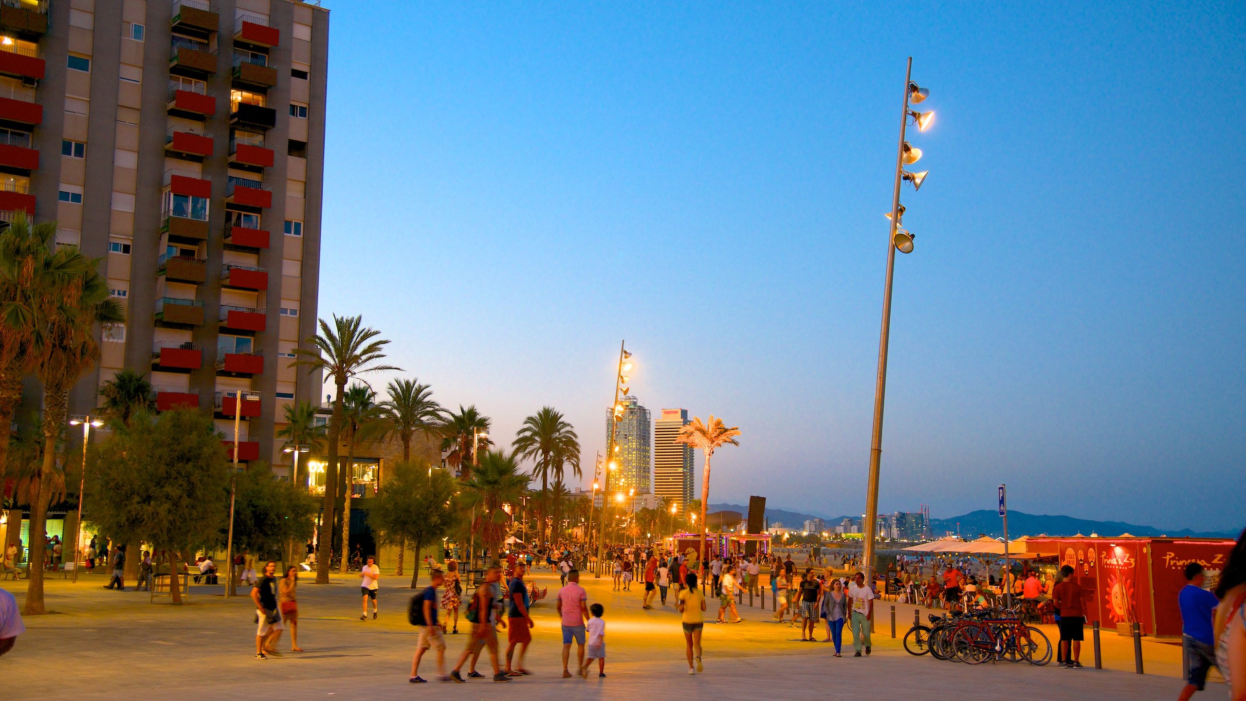 Barceloneta Beach which includes street scenes, a city and night scenes