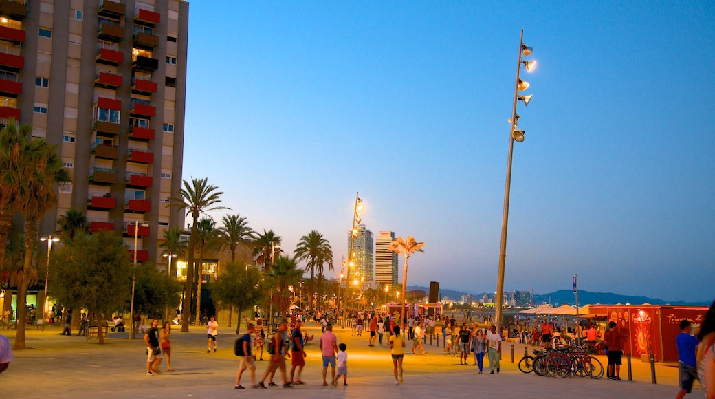 Playa de la Barceloneta bevat straten, een stad en nachtleven