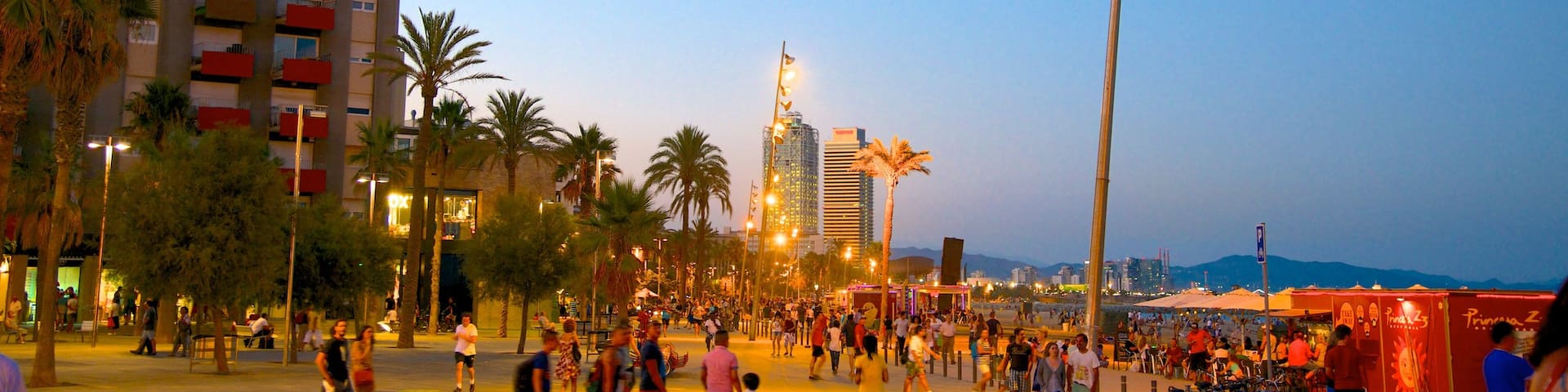 Barceloneta Beach which includes street scenes, a city and night scenes