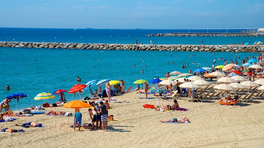 Barcelona showing swimming and a beach as well as a large group of people